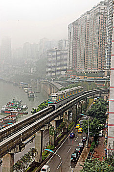 bạch thu lo de