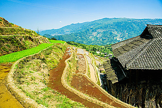 soi cau keo