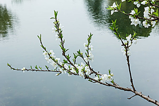 xổ số đài miền bắc
