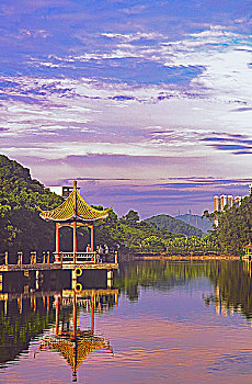 soi cầu