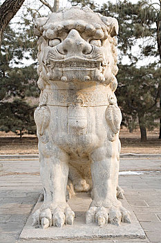 soi cầu ngày hôm nay