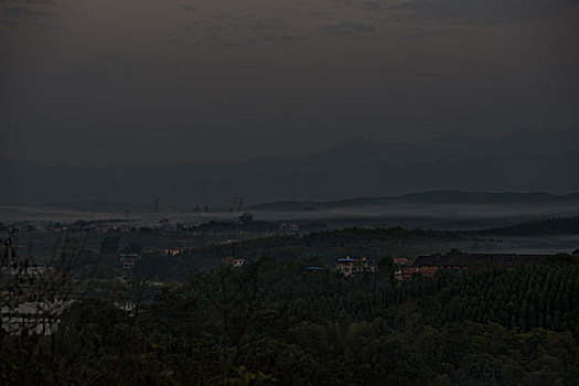 soi câu 336