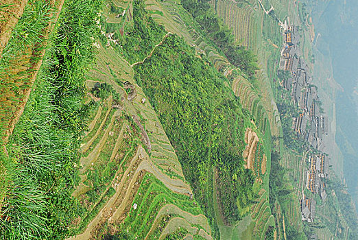 cách đánh đề dàn