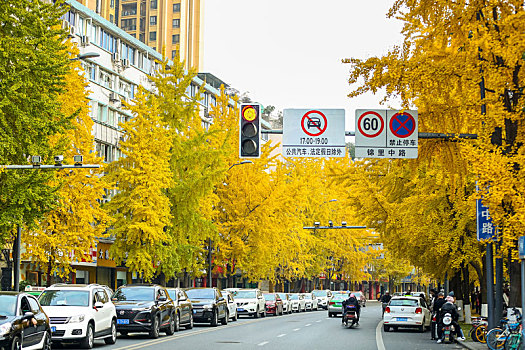 thống kê xổ số gia lai