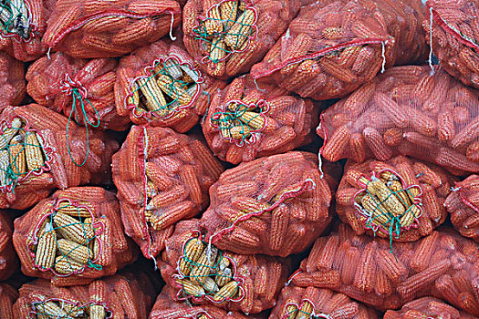 bắt lô trượt