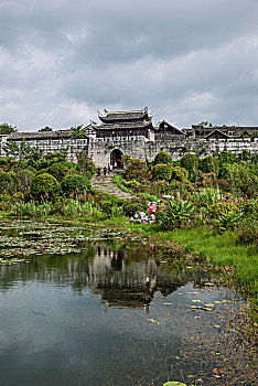 cau bach thu hom nay