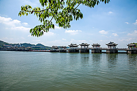 soi cau bach thu mien bac 24 gio
