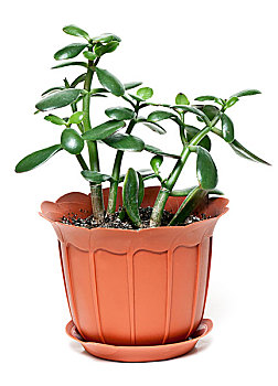 kết quả xổ số vietlott hôm nay