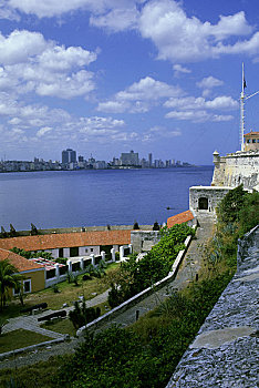 lô bạch thủ miễn phí
