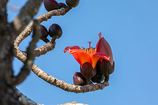 thống kê xsmb