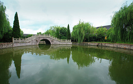 soi lo de bach thu hom nay