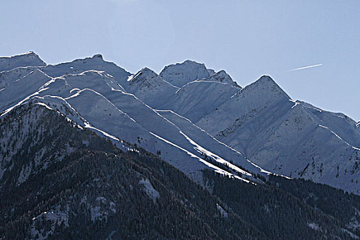 bach thu mien bac
