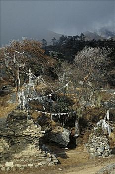 dự đoán lô tô hôm nay