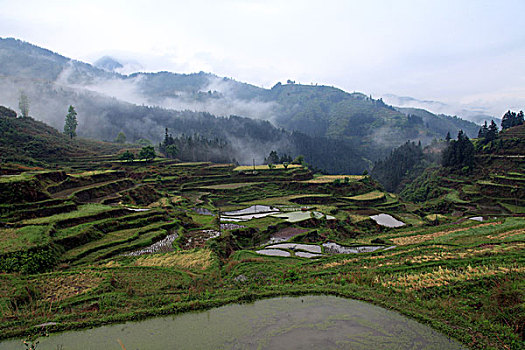 soi cầu 24