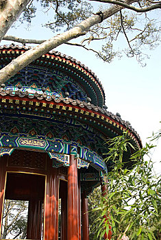 xổ số đồng tháp tuần trước