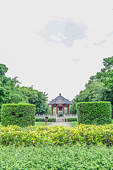 soi cau 326