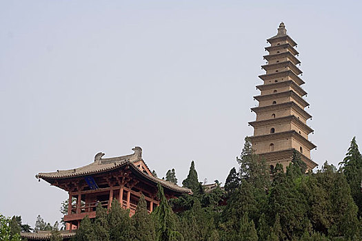 lô dàn 28