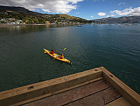 wap du doan