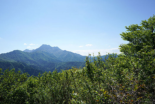 xo so minh ngoc thu 5