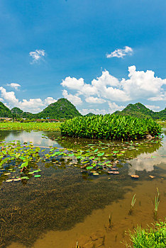 soi cau sieu chuan mb