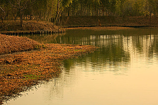 cách đánh bao lô số đề