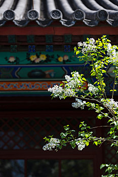 bí quyết đánh lô đề