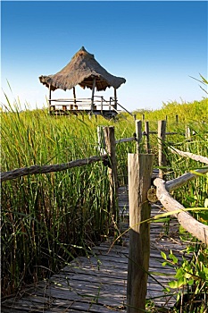 soi cầu xổ số gia lai
